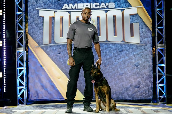 Top Dog Photo